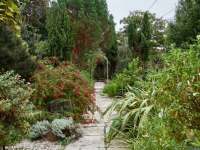 Smedmore-house-garden-wing-walled-garden
