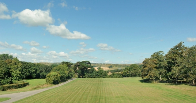 View from Hall