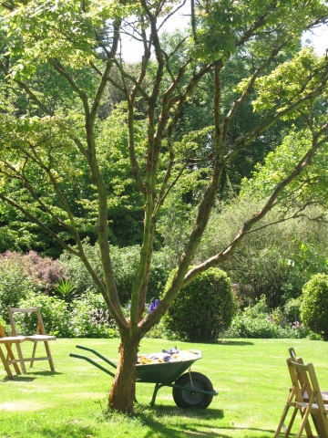 Gardens at Smedmore House