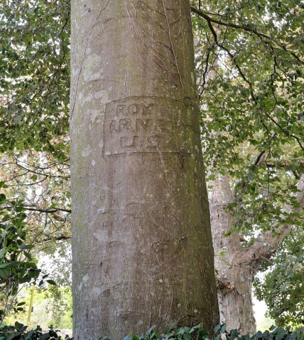 Smedmore-house-garden-engraved-tree-