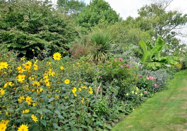 Smedmore-house-garden-flowers