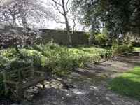 A garden path at Smedmore House