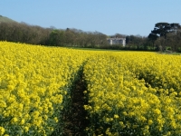 View to Smedmore House across fields