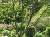 Gardens at Smedmore House
