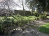 A garden path at Smedmore House