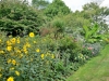 Smedmore-house-garden-flowers
