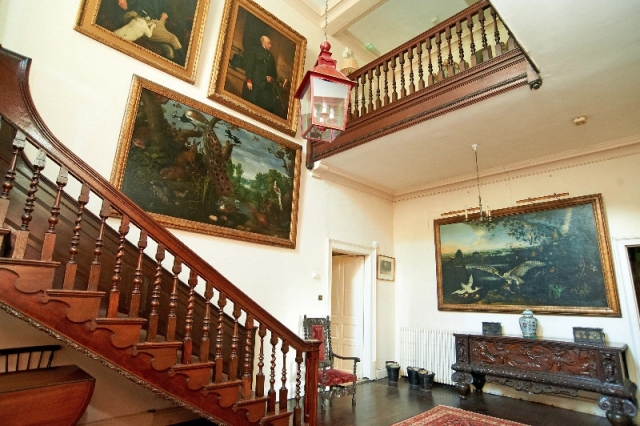 Hall Viewpoint