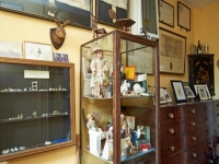 Smedmore-house-collections
