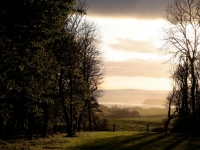 Vista view