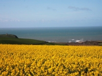 View to the Sea