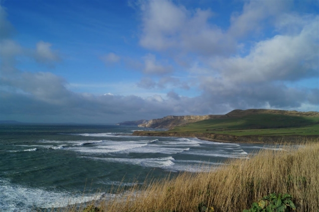 Kimmeridge Bay