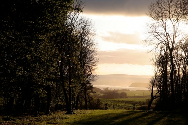 Vista view