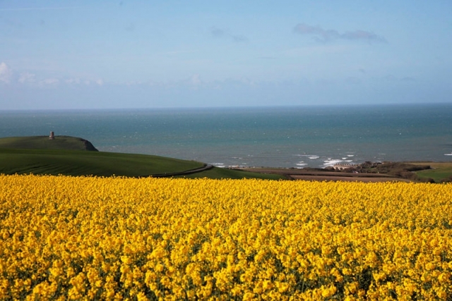 View to the Sea