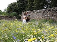 wedding-smedmore-house-2