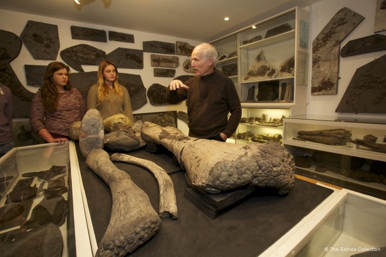 The Etches Collection Fossil Museum in the village of Kimmeridge, next to to Smedmore House the Dorset manor house rental.